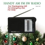 Radio radion tranzistor FM