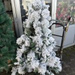 Snijezni bor 90 cm IMPERIJAL