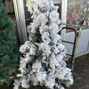 Snijezni bor IMPERIJAL 120 cm