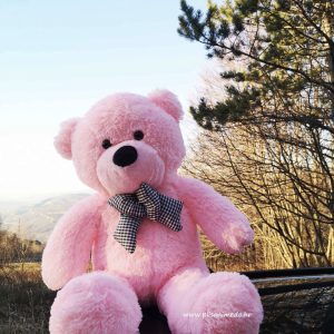 Veliki plisani medo 120 cm rozi