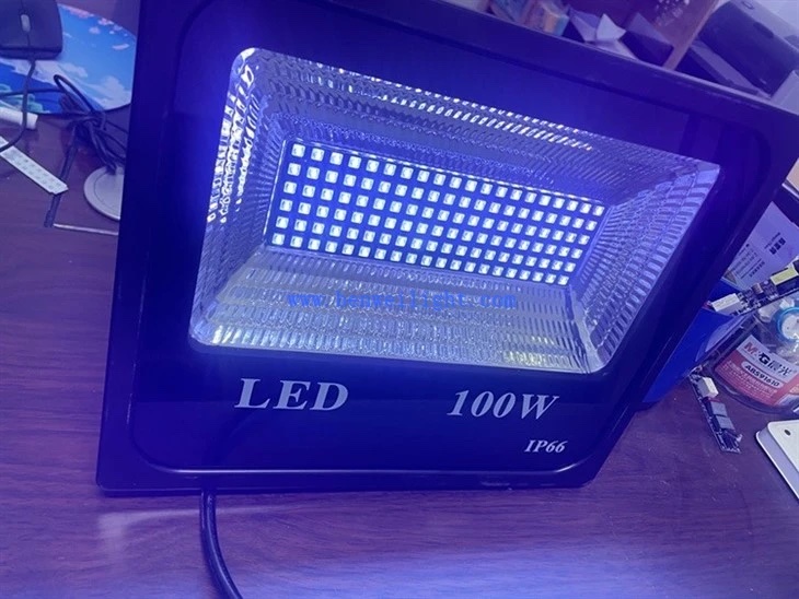 100W IP65 LED reflektor (vanjsko rasvjetno tijelo)